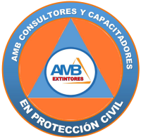 Amb consultores y auditores s.a.