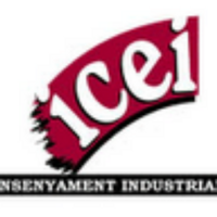 Icei formación