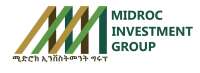 Midroc ceo management and leadership services plc