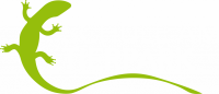 Schule am tor