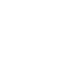 Pps financial services