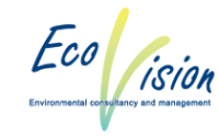 Ecovision consulting group inc