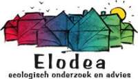 Buro elodea