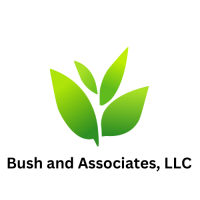 Busch and associates llc