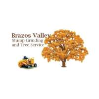 Brazos Valley Stump Grinding and Tree Service