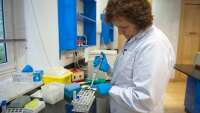Centro de diagnóstico y estudios metabólicos avanzados de cantabria (cdemac)