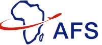 Africa flight services tanzania