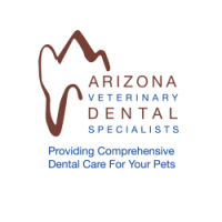 Az veterinary dental specialists - 4 locations to serve you