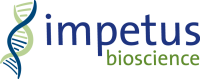 Impetus quality inspection gmbh & co. kg