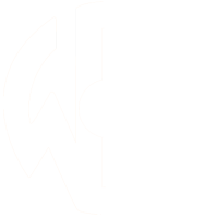 Willcox digital communication services, sl