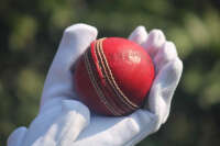T20live