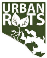Urban roots