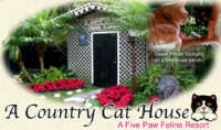 A country cat house
