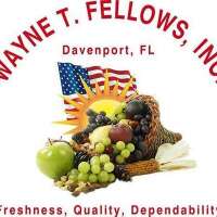Wayne t fellows inc