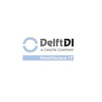 Delftdi healthcare it