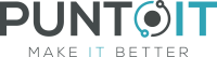 Puntoit