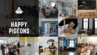 Happy pigeons co-living