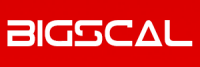 Bigscal technologies pvt ltd.