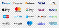 Current Payment Solutions