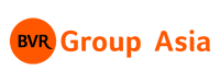 Bvr group
