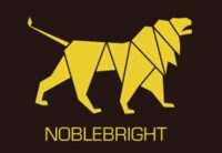 Noblebright consulting ltd