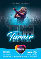 The dutch tina turner tribute