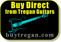 Tregan guitars