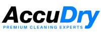 Accudry inc