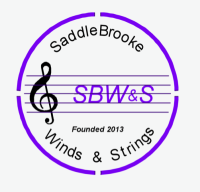 Saddlebrooke Performing Arts Group INC