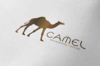 Camel ingeniería y servicios ltda