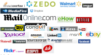 Web user