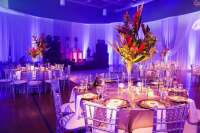 Monamor reception