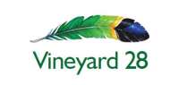 Vineyard 28