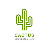 Estudio cactus