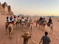 YOLO Jordan Tours and Travel