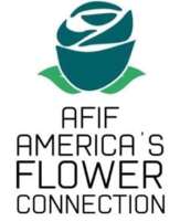 Afif