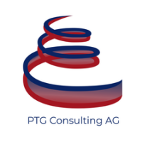 Ibis business consulting ag