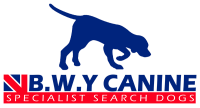 B.w.y canine ltd