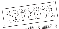 Natural bridge caverns, inc.