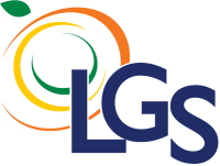 Lgs asesores & consultores