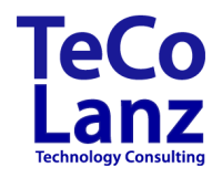 Info consulting lanz gmbh
