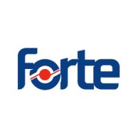Forte careers: director