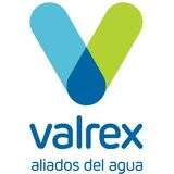 Grupo valrex tepsa depurar