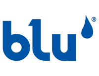 Blue Swiss It Solutions LLC