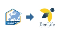 Beelife