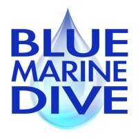 Blue marine dive