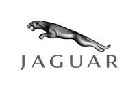 Alto jaguar