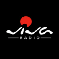 Radio viva srl