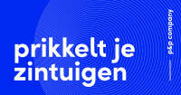 P & p taxaties bv
