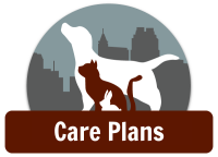 Creedmoor road animal hospital